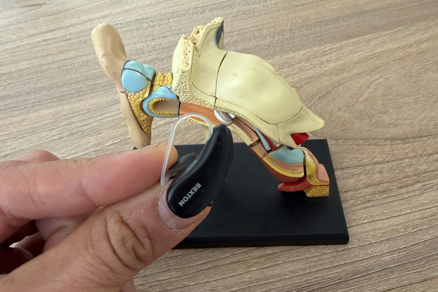 Venta de auxiliares y/o aparatos auditivos